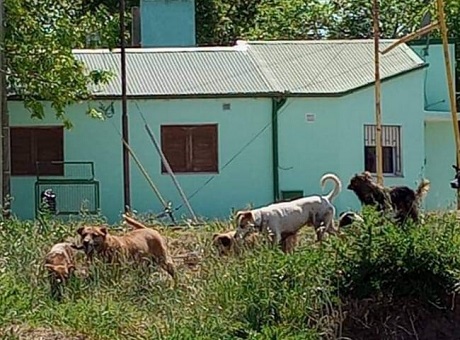 WhatsApp Image 2022-10-20 at 12.44.30[21580].jpg