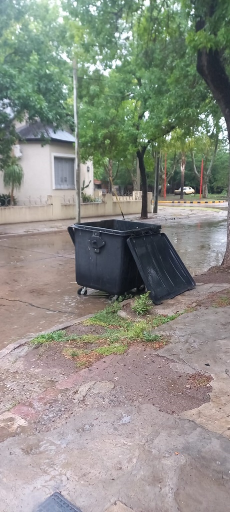 WhatsApp Image 2022-11-12 at 14.39.26.jpeg