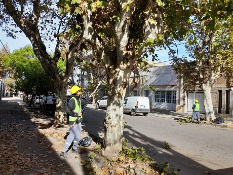 WhatsApp Image 2023-05-30 at 11.27.38[11051].jpg