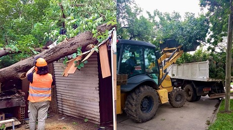 WhatsApp Image 2024-01-17 at 09.00.35[17238].jpg