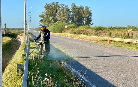 WhatsApp Image 2024-02-14 at 08.01.41.jpeg