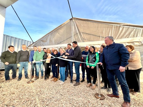 WhatsApp Image 2024-06-05 at 21.38.24.jpeg