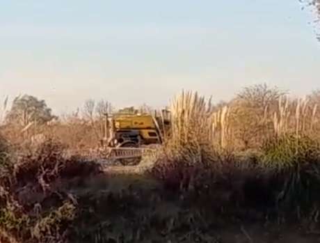 WhatsApp Image 2025-27 at 08.32.47[7881].jpg