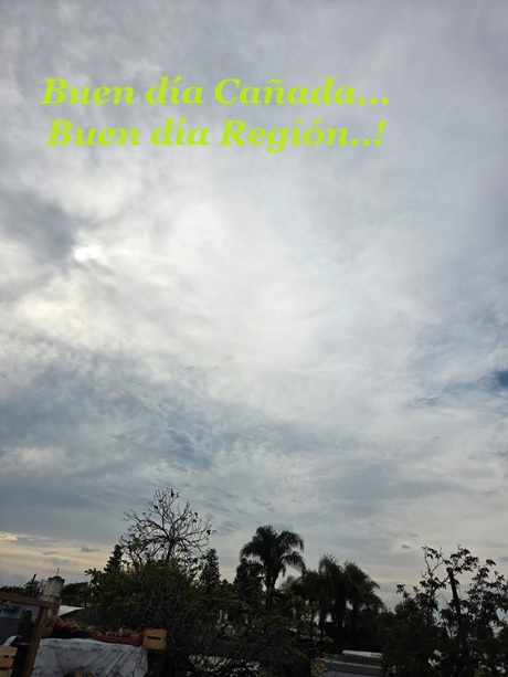 WhatsApp Image 2026-03-28 at 10.24.46.jpg