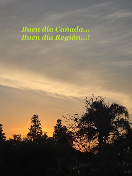 WhatsApp Image 2026-04-01 at 07.30.54.jpeg