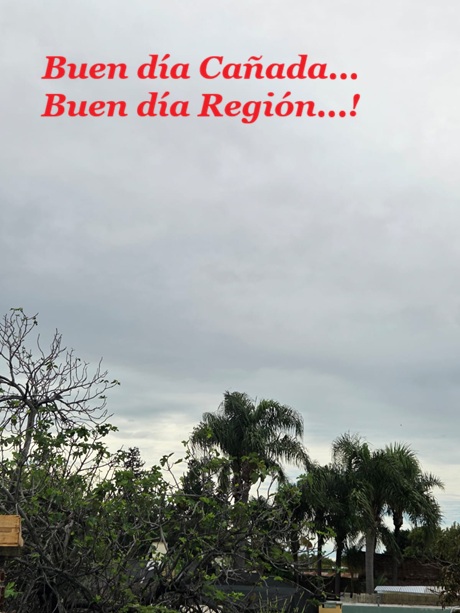 WhatsApp Image 2026-04-02 at 11.21.01.jpg