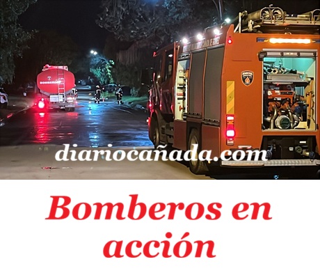 WhatsApp Image 2026-04-02 at 20.49.18.jpg