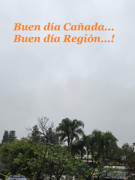 WhatsApp Image 2026-04-06 at 08.27.11.jpeg