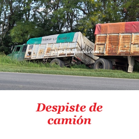 WhatsApp Image 2026-04-10 at 16.27.16.jpeg