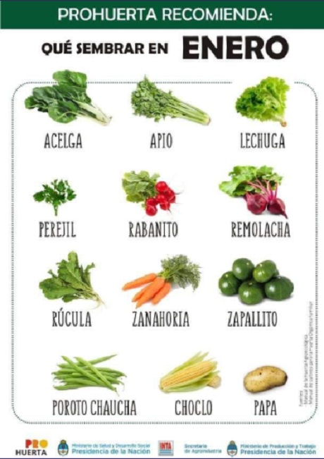 WhatsApp Image 20321321t 132132 AM.jpg