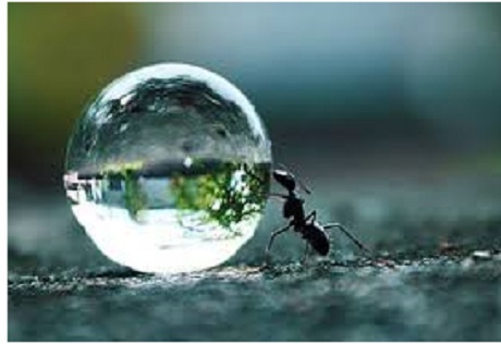 WhatsApp dddrrerrt (1).jpg