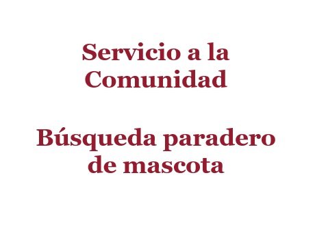 busquerda de mascota.jpg