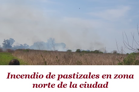 c8f3af83-22ab-4fed-a536-c893552ecb38.jpg