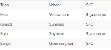 cereales 14092022.jpg