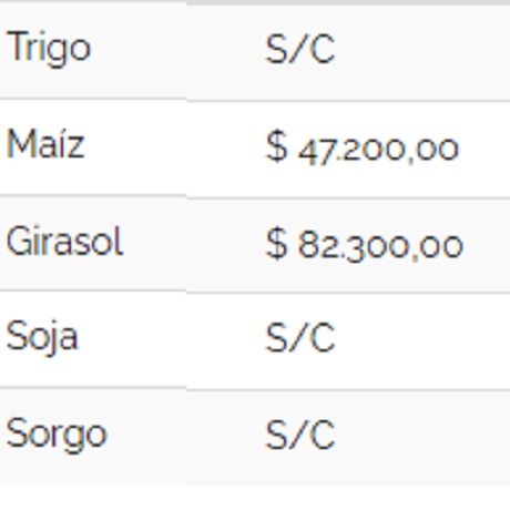 cereales 20012023.jpeg