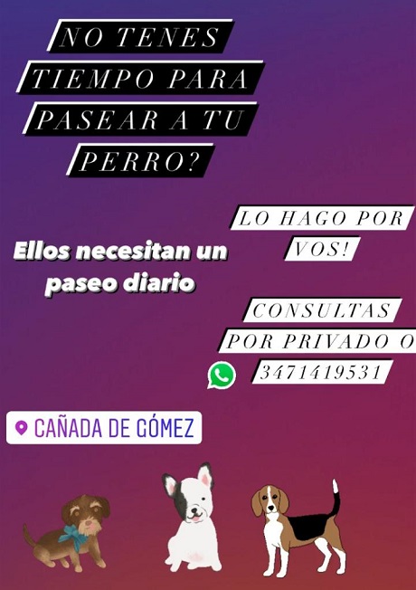 df8a5732-9f98-45fa-ab54-3f090c6a764a.jpg
