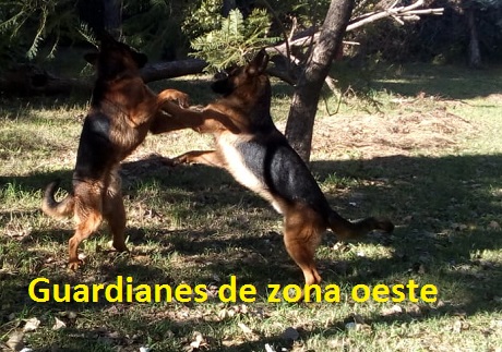 dos jugando oeste.jpg