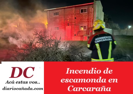 fd8de065-4829-4a9e-8a4e-2690ec8b2a27.jpg