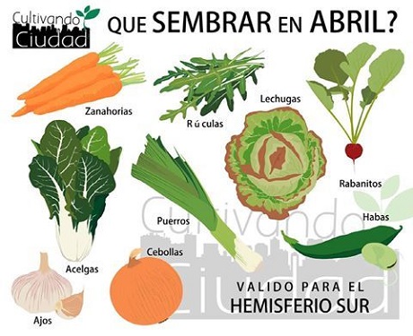 huertaabril2020.jpg