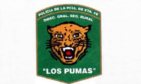 los pumas.jpg