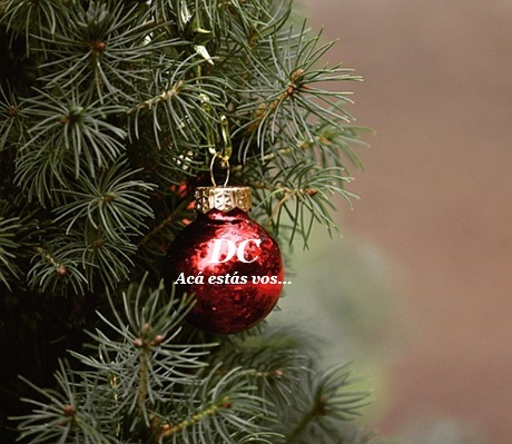 navidad2024fiestasdc.jpg