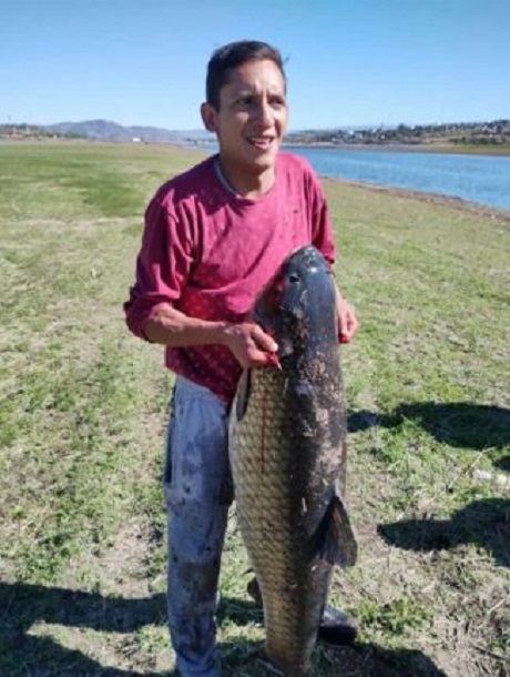 pez-carpa-record-46-kilos-03-1-scaled.jpeg