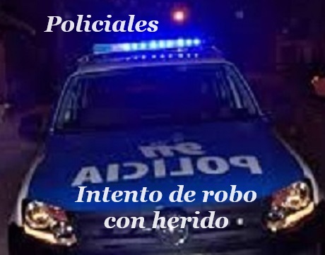 police22.jpg