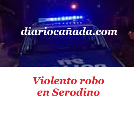 policerobodos150426.jpg