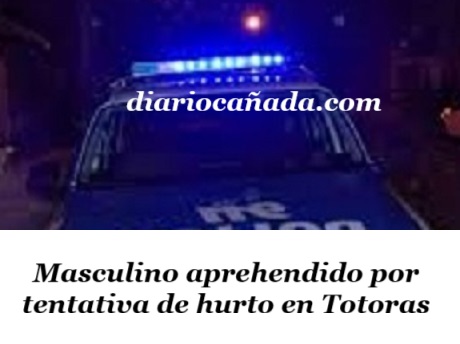 policetentahurto.jpg