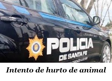 policia santafetintento hur animal.jpg