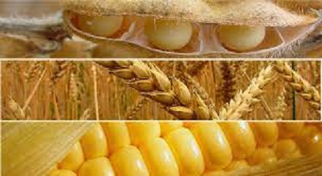 precio de cereales.jpg