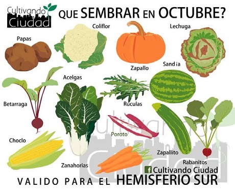 siembra-de-octubre-624x510.jpg