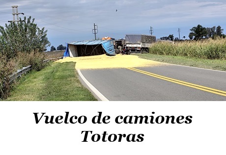 totoras2.jpg