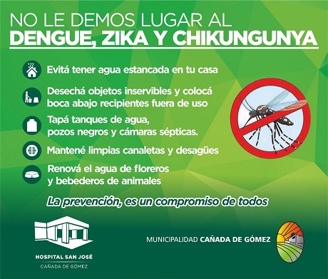 volante dengue.jpg